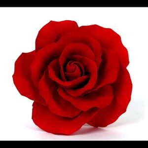 Meet your Posher, Lee